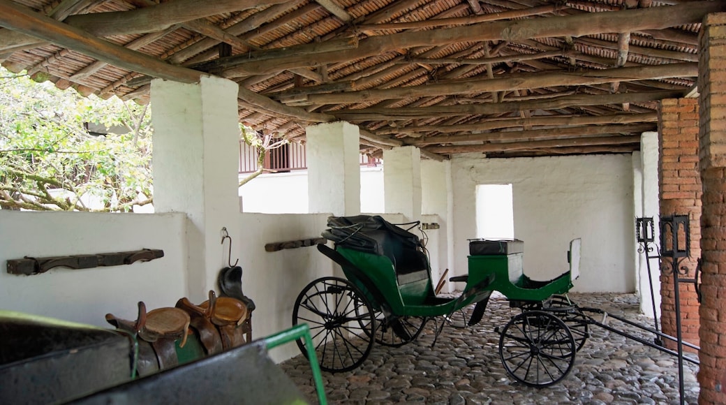El Museo de la Caña de Azúcar
#architecture
