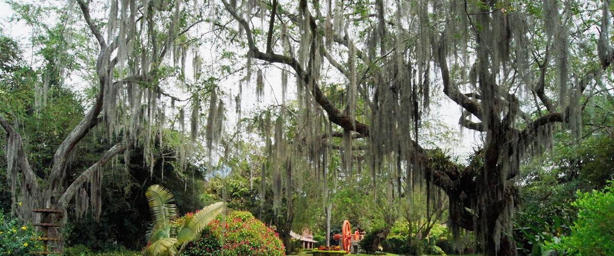 El Museo de la Caña de AzĂșcar.