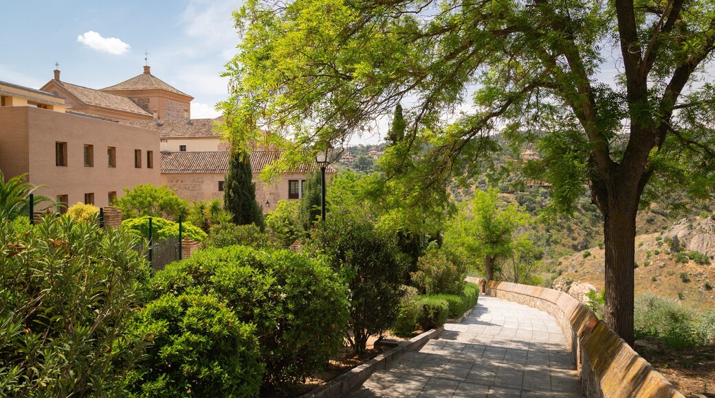 Cortes de Castilla-La Mancha Building featuring a garden