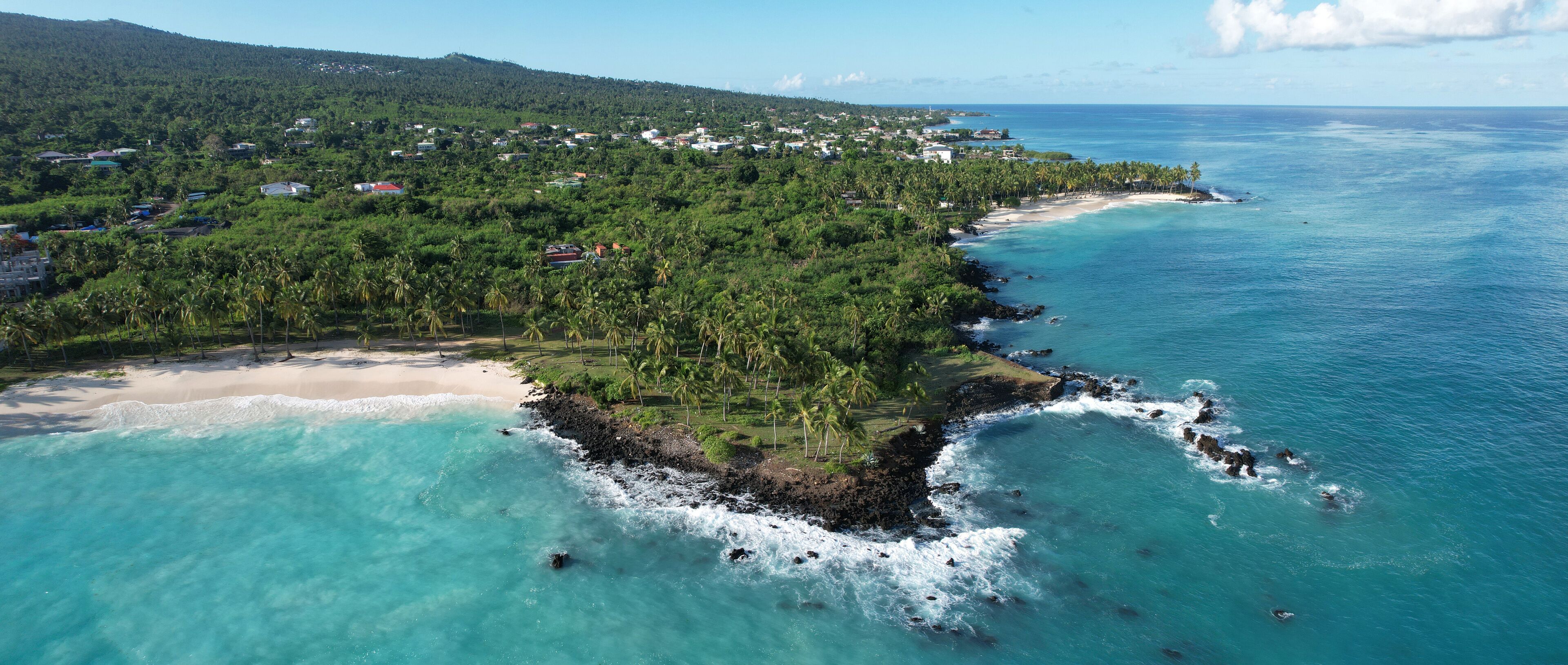 Beach, palm trees and volcanic rocks, Mitsamiouli, Grande Comore, Comoros