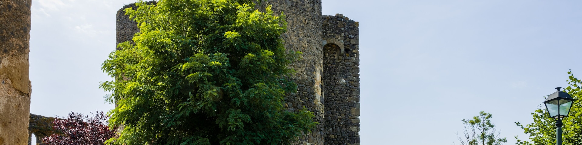 A historic stone castle surrounded by lush greenery and a well-maintained lawn.