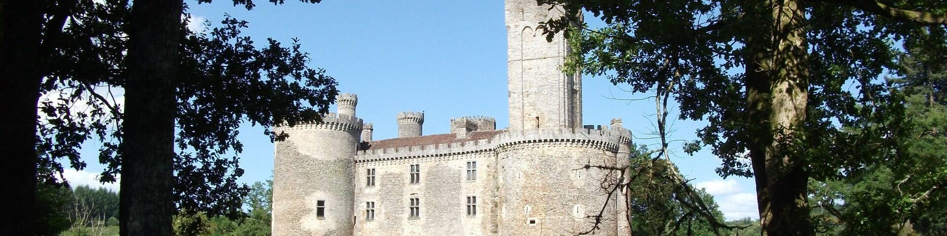A historic castle surrounded by trees and a body of water.