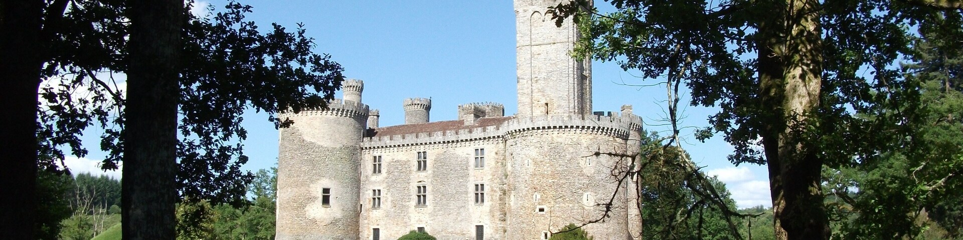 Un castillo histórico rodeado de árboles y una masa de agua.