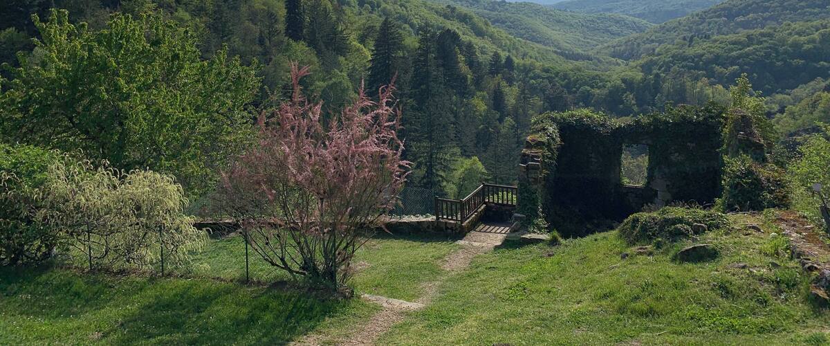 A lush green valley with a wooden bridge and a stone ruin.