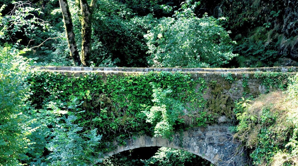 Above the waterfall for which the town is named is a lovely lush valley with a tiny creek you would never think is about to tumble dramatically to the lower valley below.
