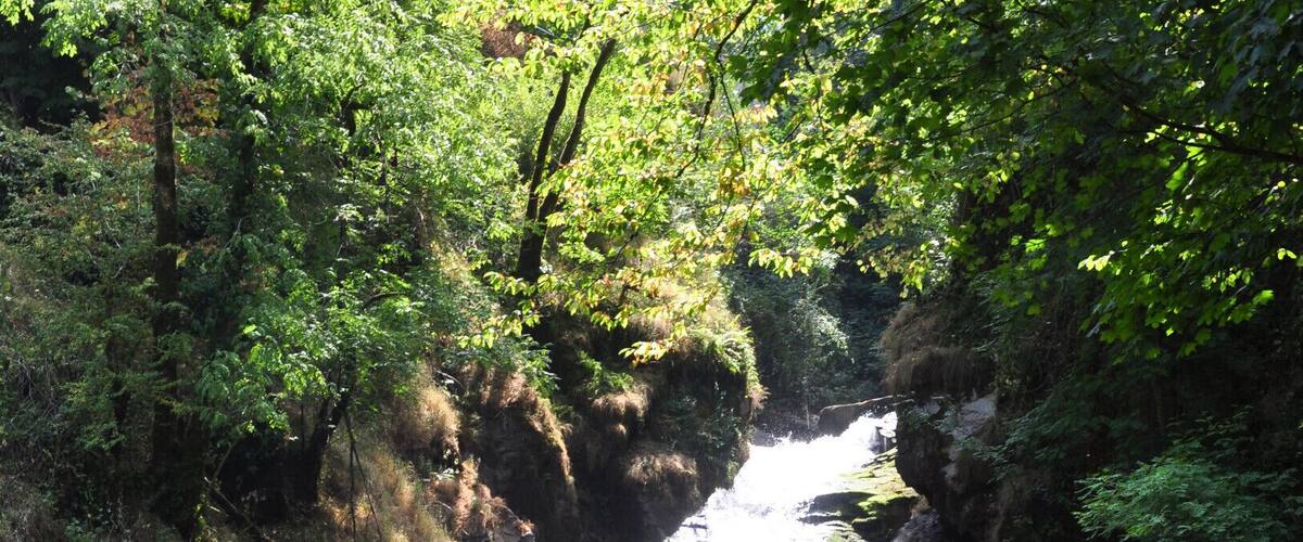 This is just part of the cascades - a little diminished by the extended heatwave that France had experienced in June/July 2015.