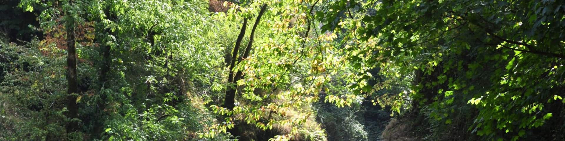 This is just part of the cascades - a little diminished by the extended heatwave that France had experienced in June/July 2015.