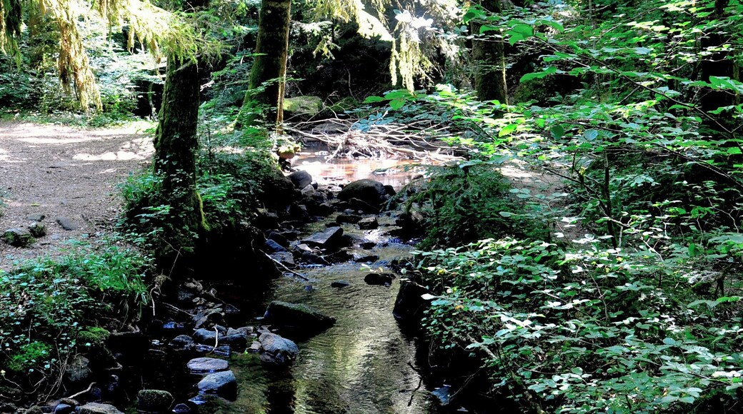 Above the waterfall for which the town is named is a lovely lush valley with a tiny creek you would never think is about to tumble dramatically to the lower valley below.