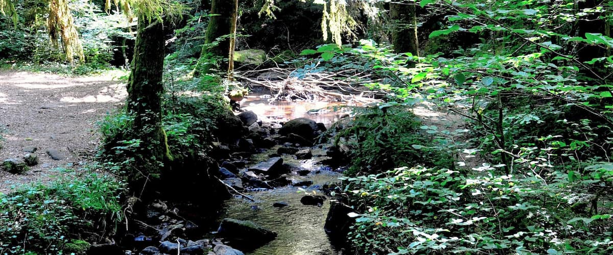 Above the waterfall for which the town is named is a lovely lush valley with a tiny creek you would never think is about to tumble dramatically to the lower valley below.