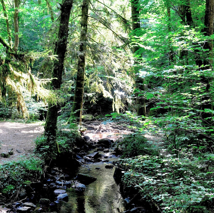 Above the waterfall for which the town is named is a lovely lush valley with a tiny creek you would never think is about to tumble dramatically to the lower valley below.