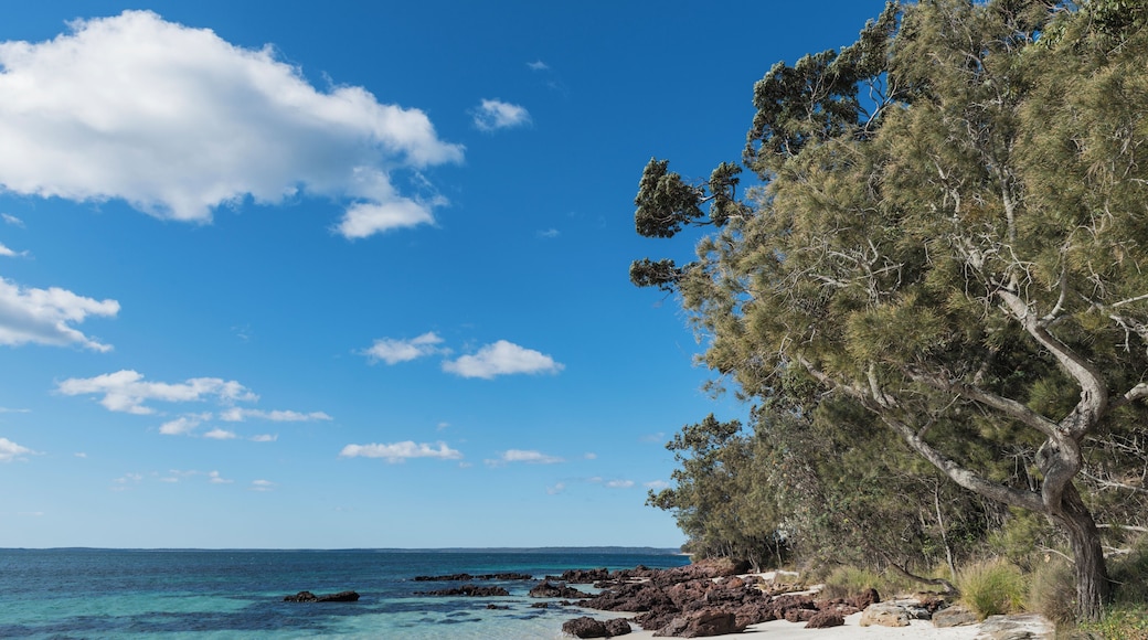 Platja de la Badia de les Palmeres