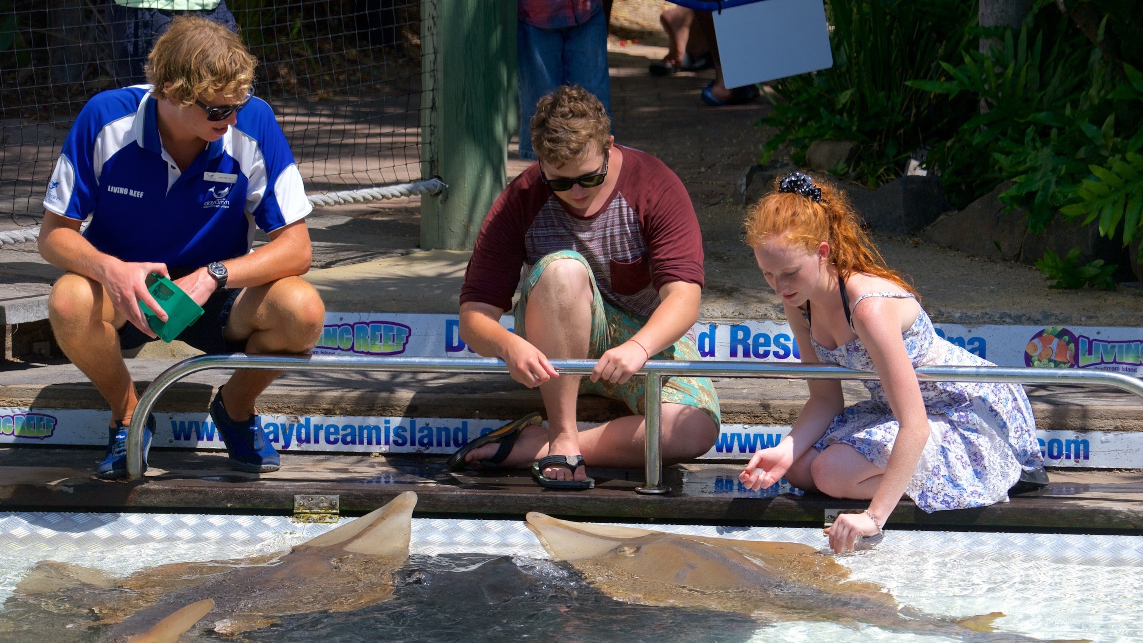 Molle Islands National Park which includes marine life and zoo animals as well as an individual femail