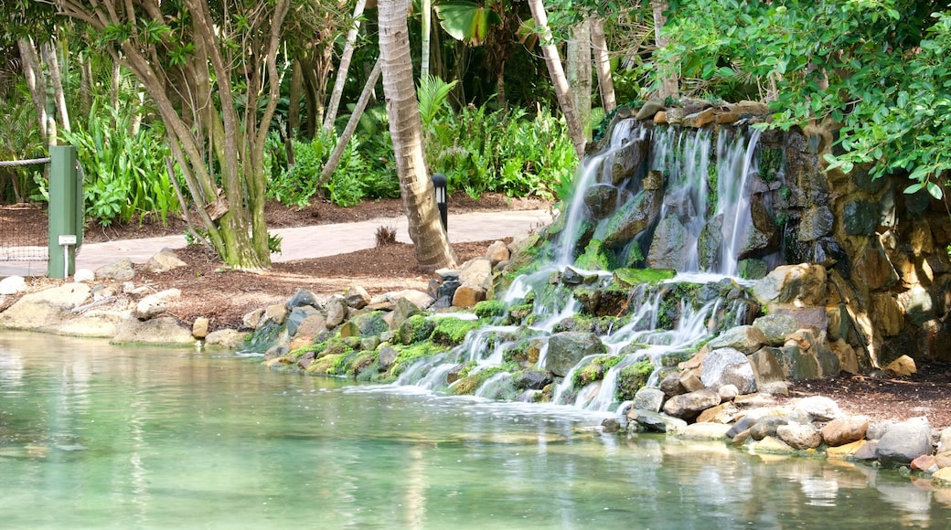 Molle Islands National Park showing a waterfall, a pond and a park