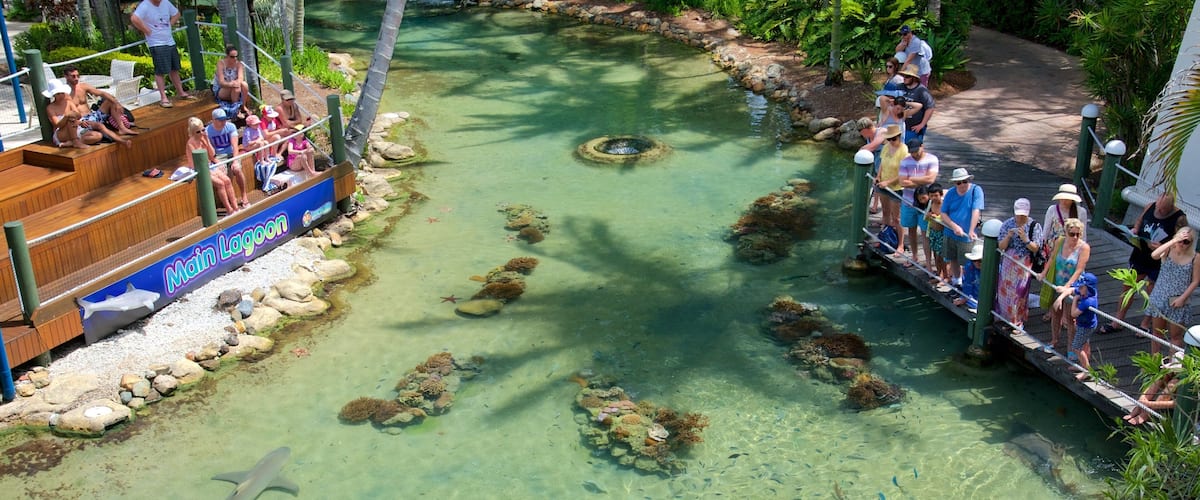 Whitsunday Islands which includes zoo animals, land animals and marine life