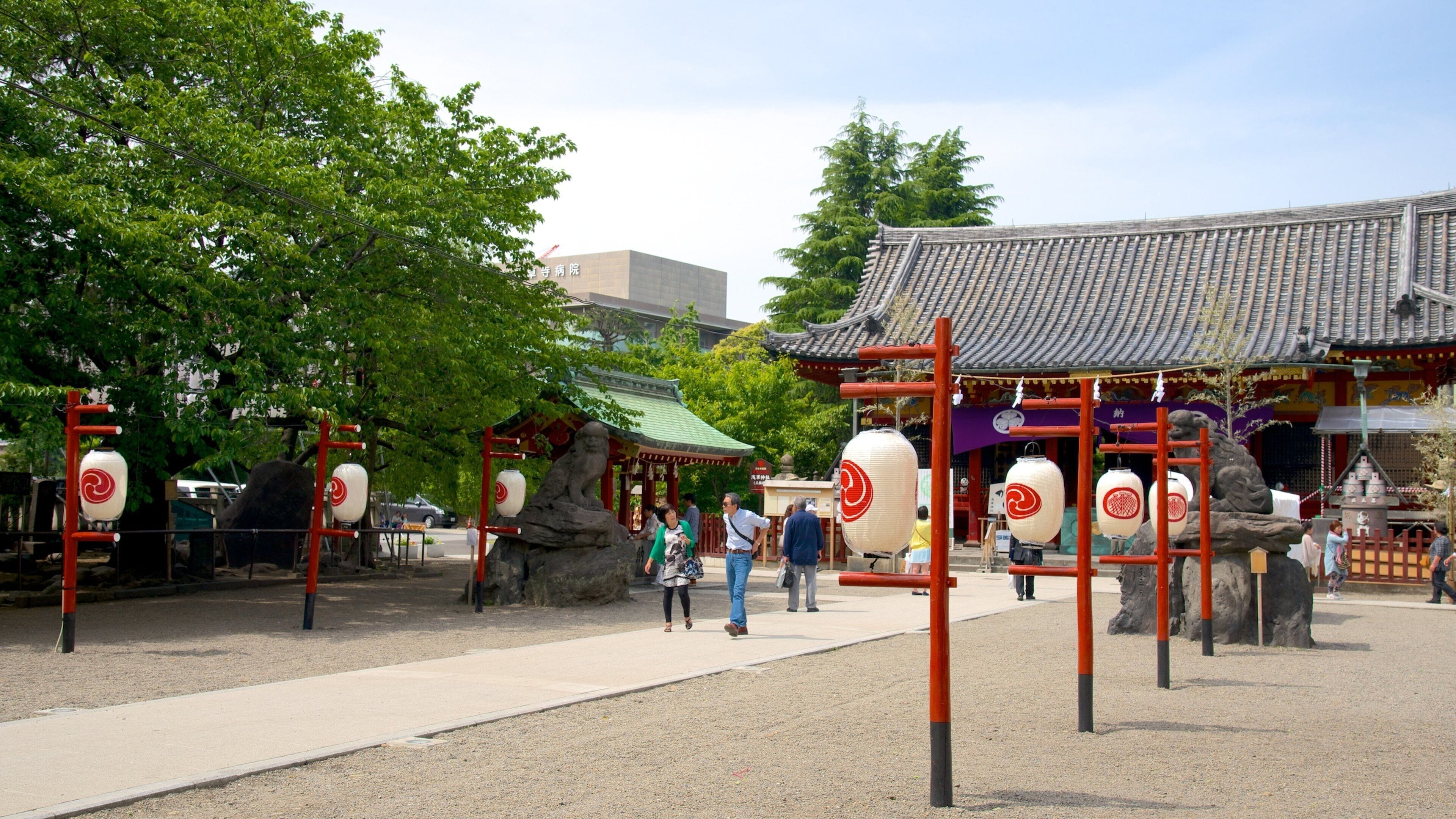 Sanctuaire d\'Asakusa montrant scènes de rue, aspects religieux et temple ou lieu de culte