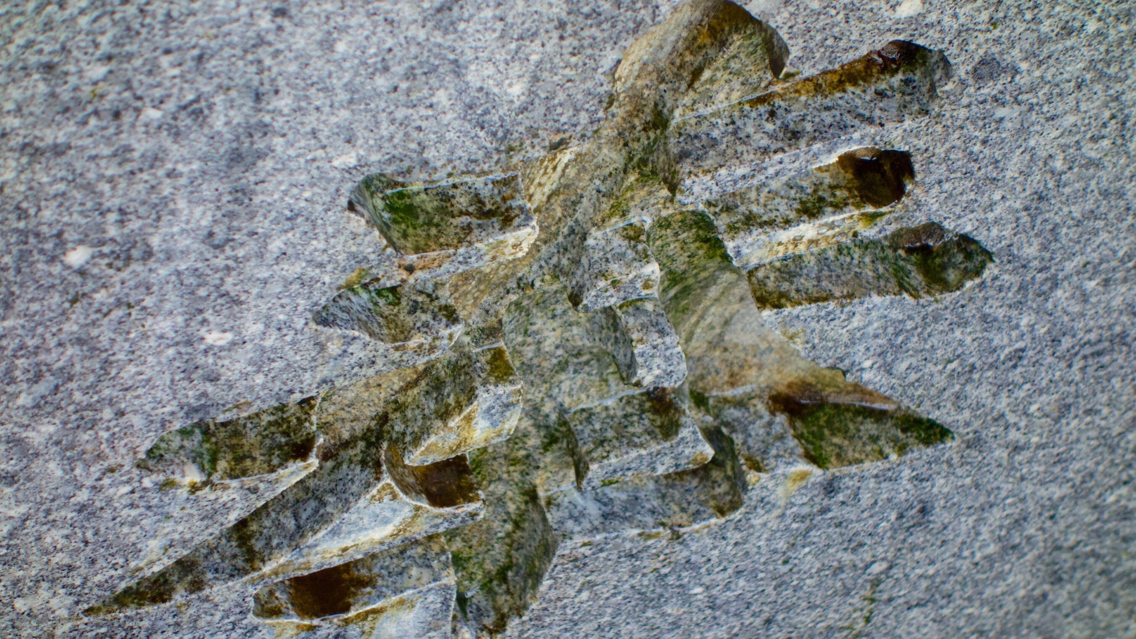 Asakusa Shrine showing religious elements, a temple or place of worship and art