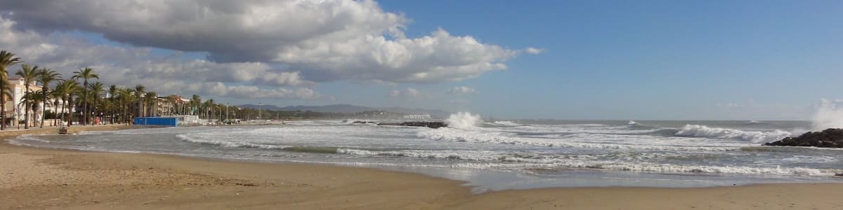 Une plage où les vagues viennent se briser sur le rivage, des palmiers et un ciel dégagé.