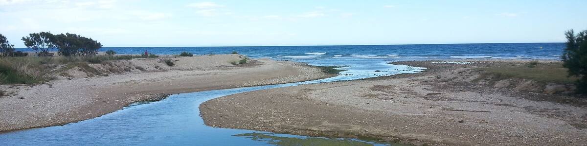 This is a a photo of a wetland in Catalonia, Spain, with id: