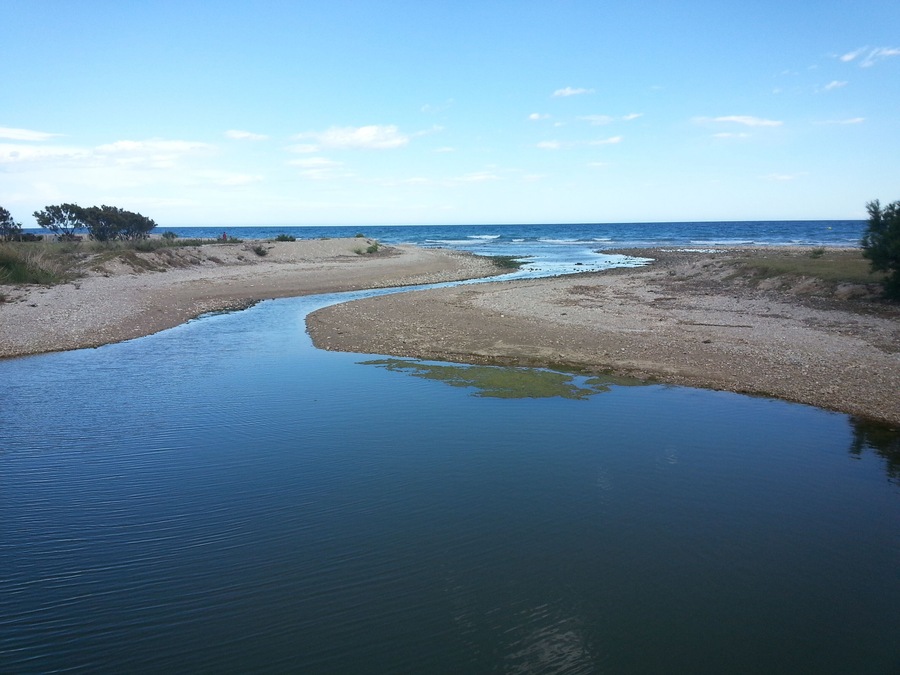 This is a a photo of a wetland in Catalonia, Spain, with id: