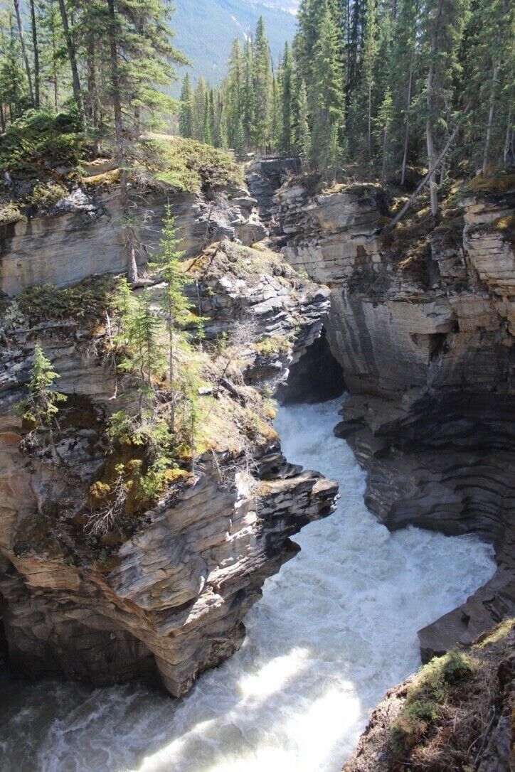 A river flowing through a rocky canyon with trees on the edges.
