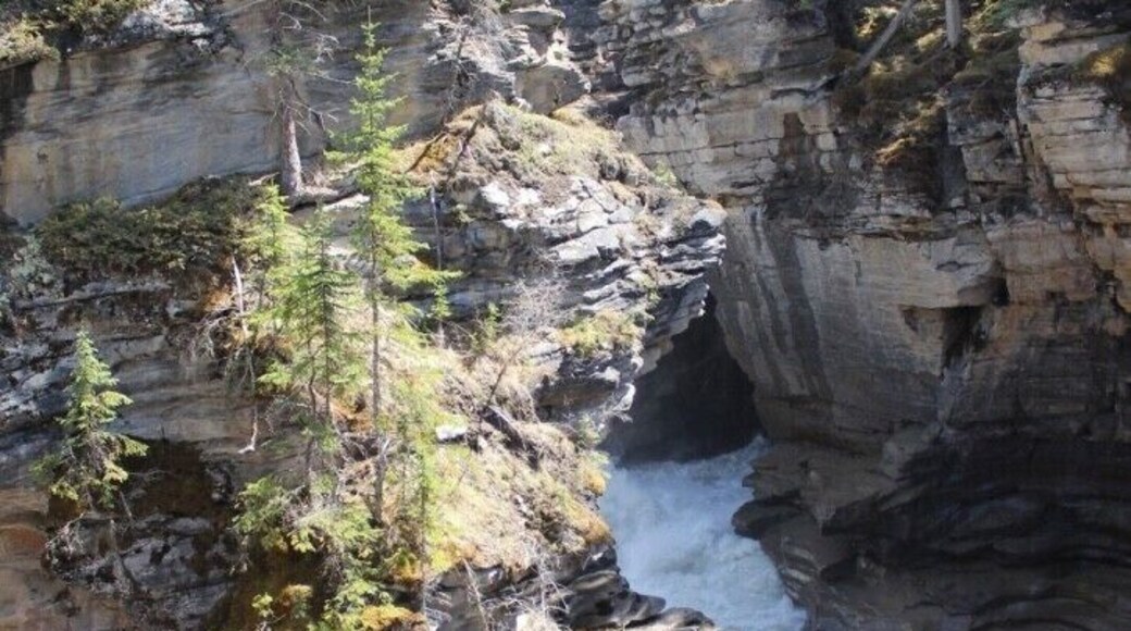 A river flowing through a rocky canyon with trees on the edges.