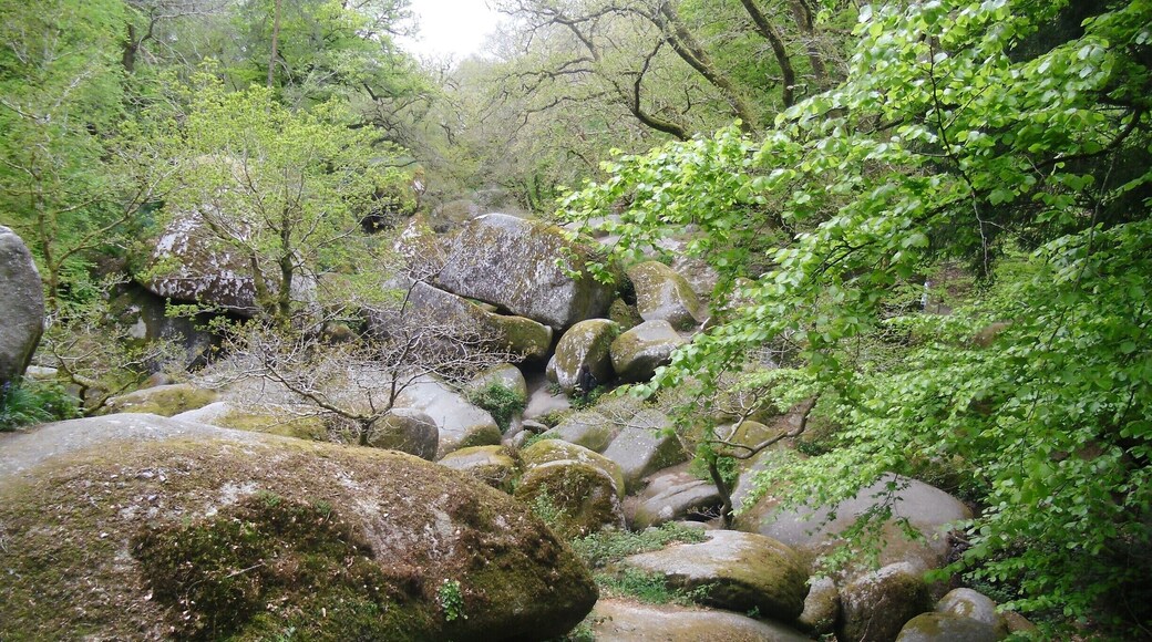 Huge ginormous boulders fill this National Park. So interesting to wander round & explore. there 's a "griotte de Diablo" reached by climbing down a precarious ladder (no health and safety here!) to see a natural underground waterfall. Also outside of this forest is a lovely lake to hike round, with proper paths.
