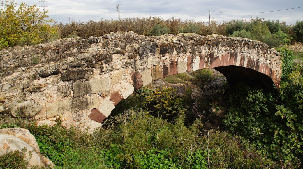 Pont dels Moros (Alcover)