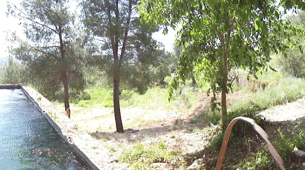 Vista Panorámica del Mas la Costa Alcover