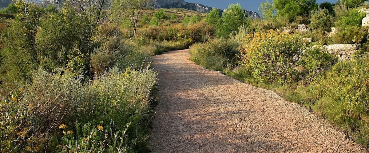 A gravel path winding through a dry, hilly landscape with sparse vegetation and a mountain in the distance.