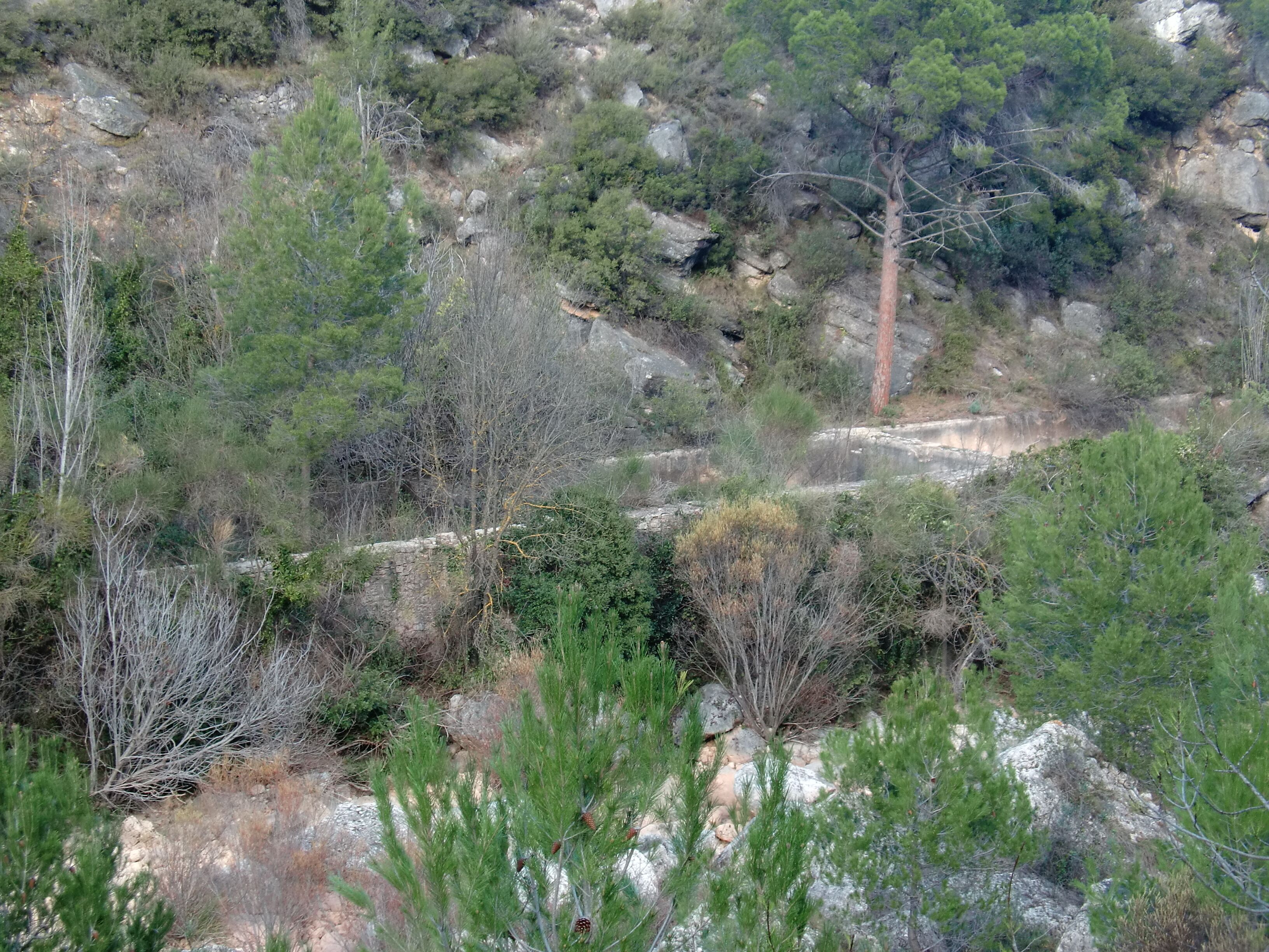 Basses del molí de paper de la Font Gran (Vilaverd)