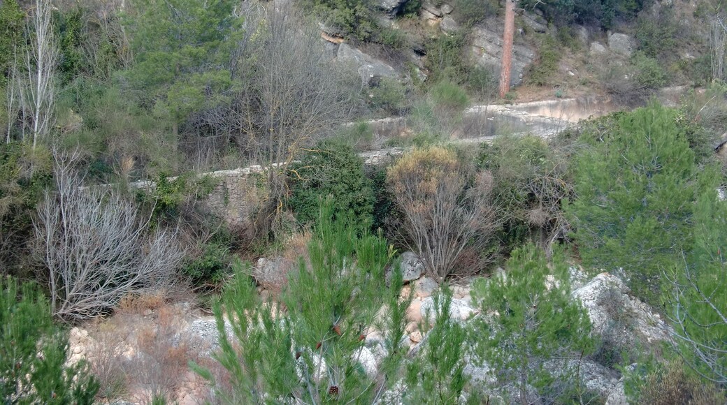 Basses del molí de paper de la Font Gran (Vilaverd)