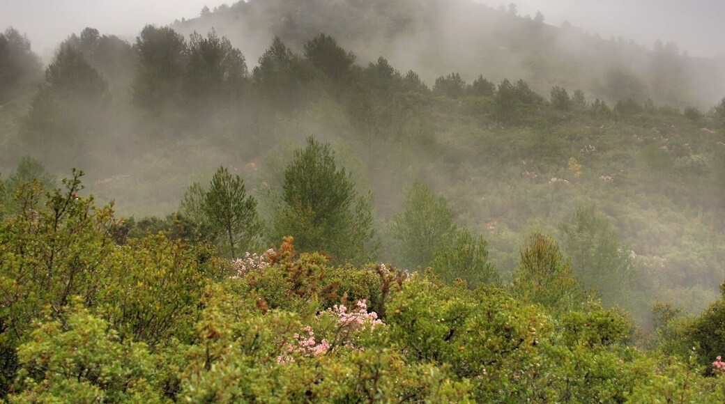 Cucurulla del Mas d'en Just