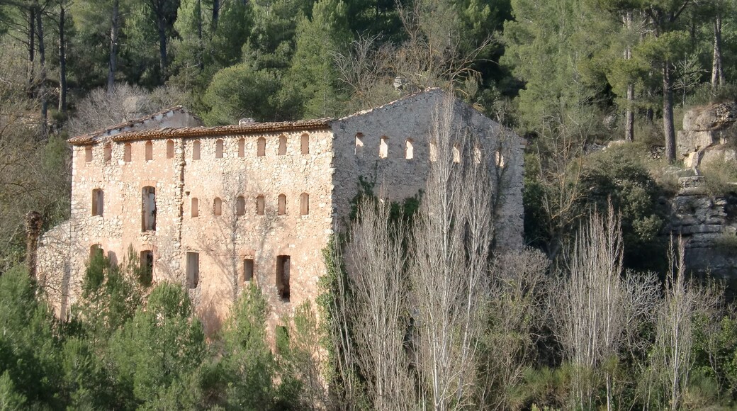 Molí de paper de la Font Gran (Vilaverd)