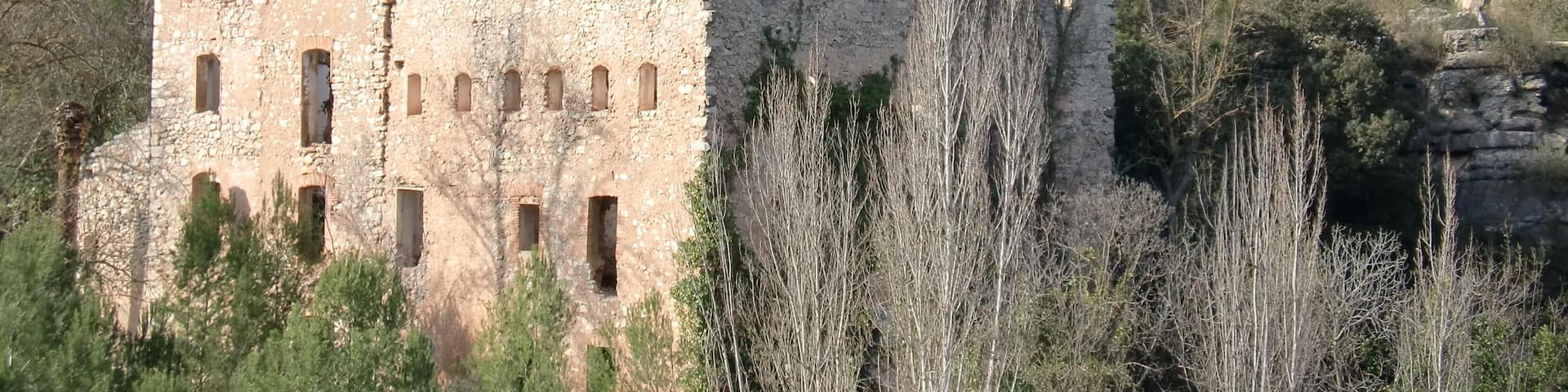 MolĂ de paper de la Font Gran (Vilaverd)