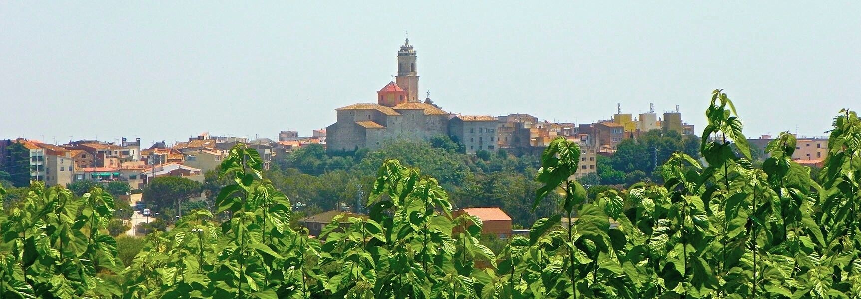 A historic building with a tower, surrounded by a cityscape and greenery.
