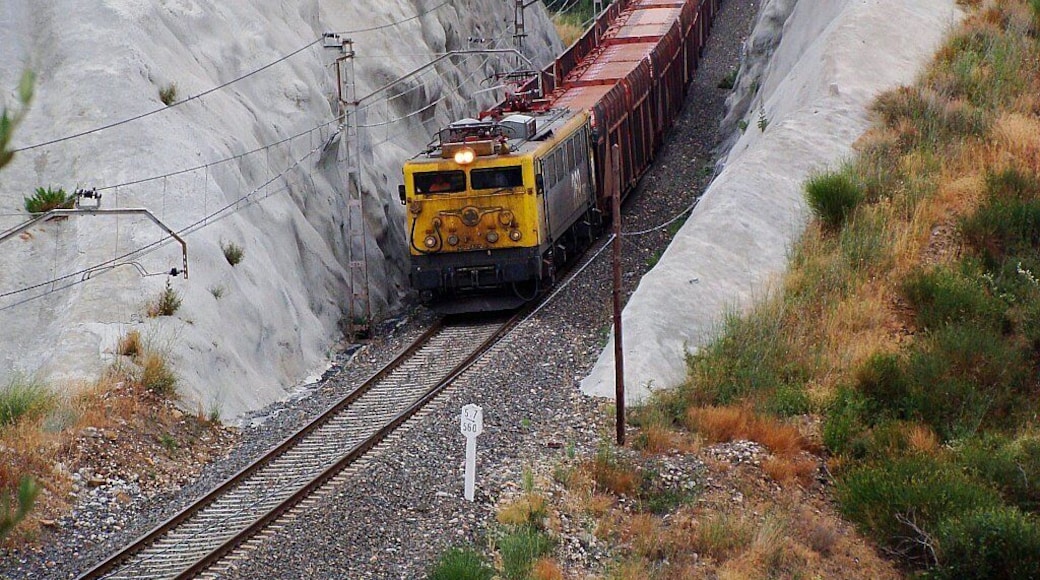 La 269.092 amb un portacotxes de Pecovasa al seu pas per Riudecanyes en direcció Saragossa. La 269.092 con un portacoches de Pecovasa a su paso por Riudecanyes en dirección Zaragoza.