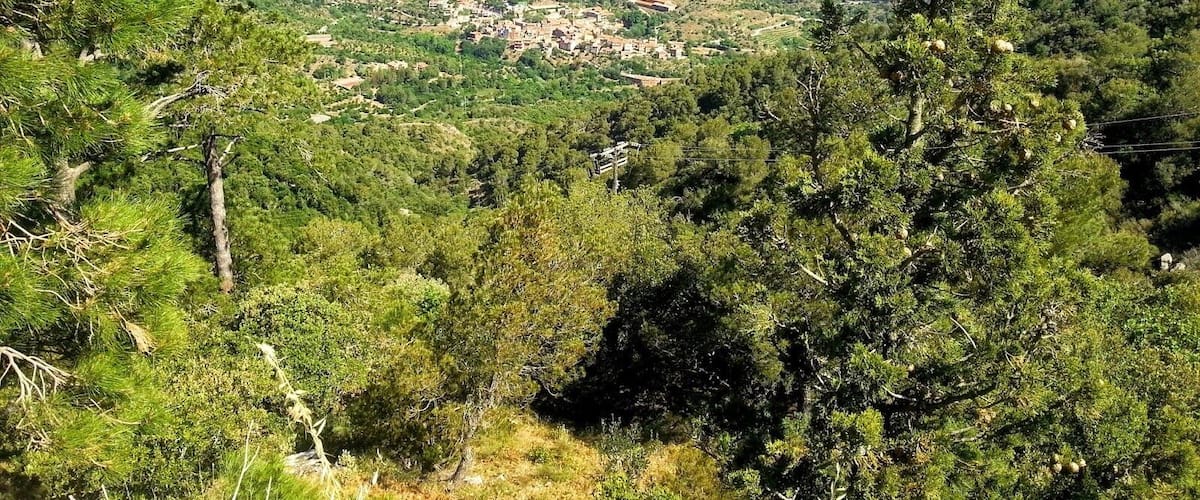 Desde el Castillo - Monasterio de Vilanova de Escornalbou.
