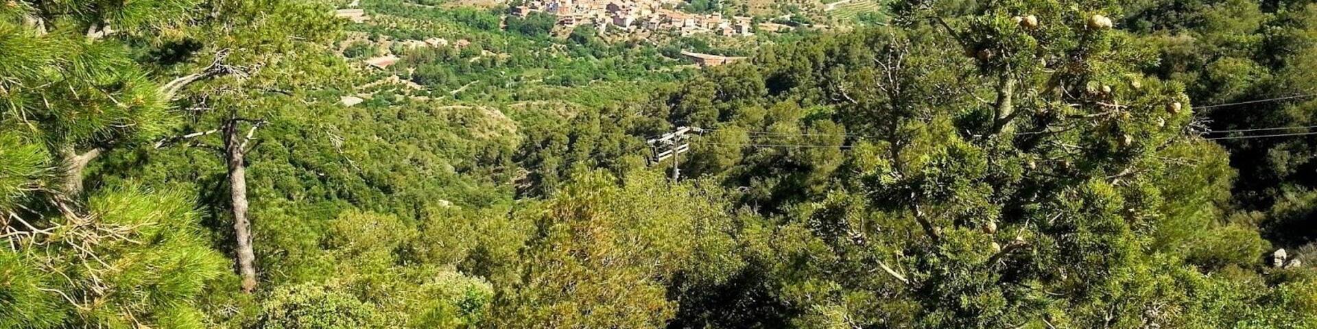 Desde el Castillo - Monasterio de Vilanova de Escornalbou.