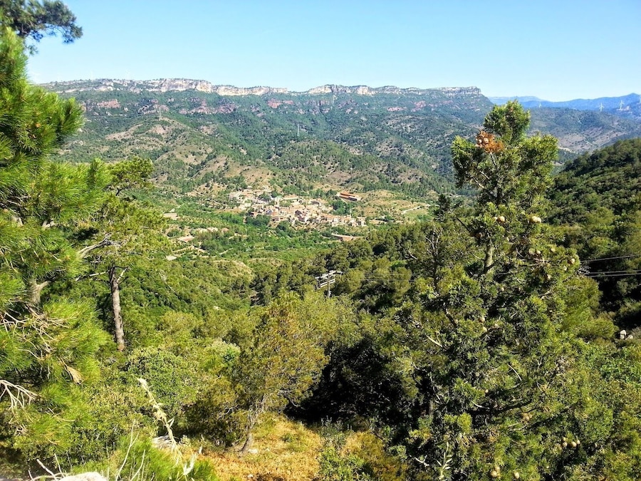 Desde el Castillo - Monasterio de Vilanova de Escornalbou.