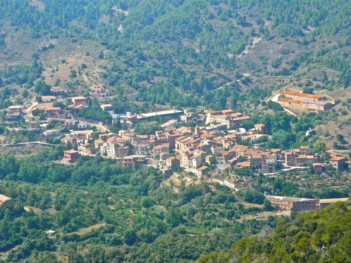 L'argentera des del castell d'Escornalbou