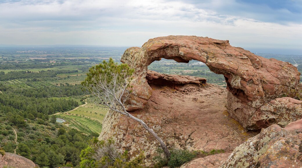 A rocky landscape with a prominent arch formation, dense green forest, and distant hills.