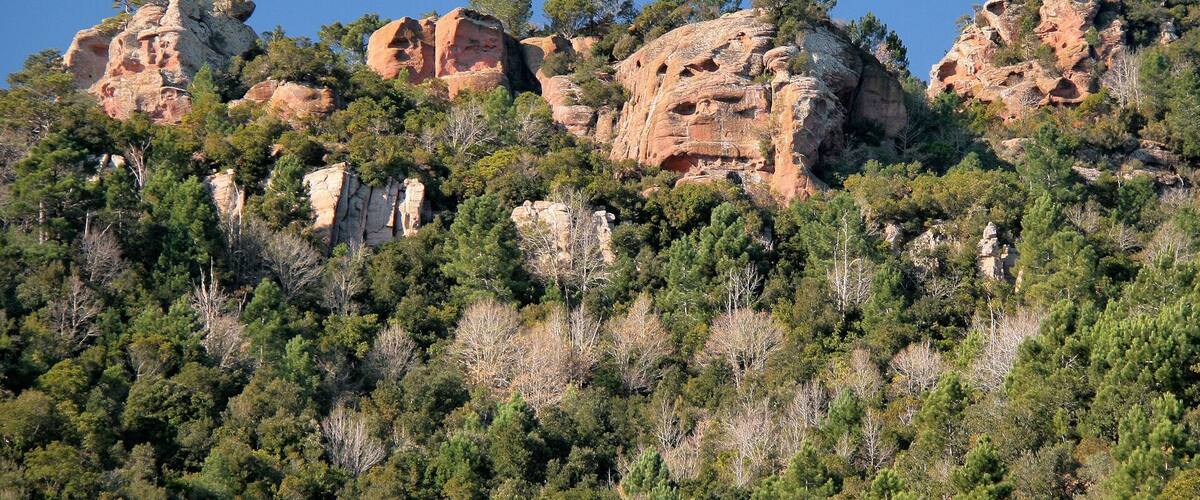 A rugged mountain landscape with prominent rock formations and dense forest.