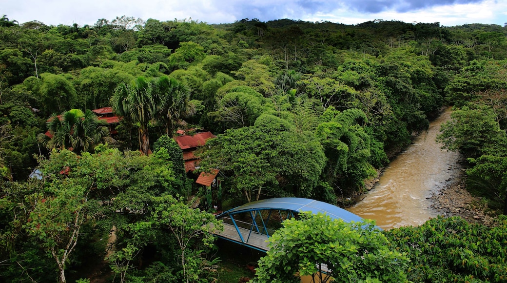 Bridge over brown river leading to houses in the middel of the jungle