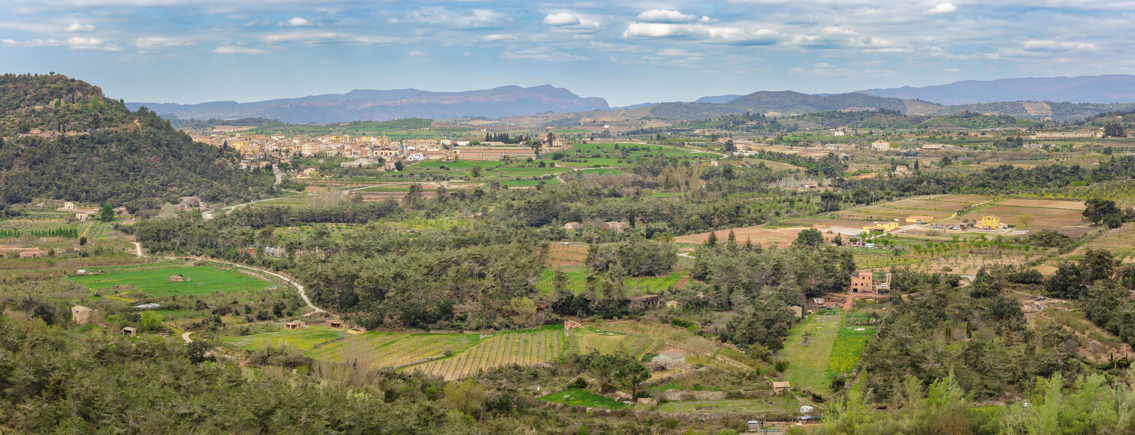 Plantation fields and mountains near Marça, Spain