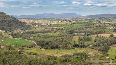 A rural landscape with rolling hills, scattered buildings, and a mix of cultivated fields and forests.