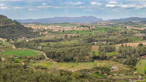 Plantation fields and mountains near Marça, Spain