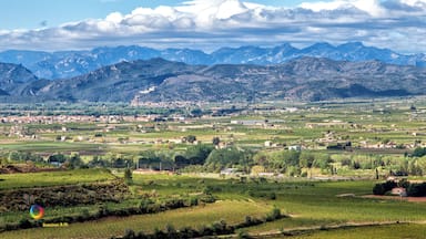 A mountainous landscape with vineyards and a town in the valley.