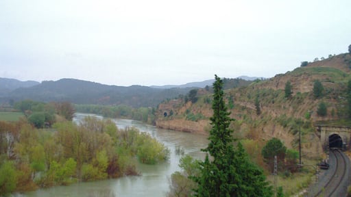 L'Ebre, un dia de pluja a Ascó