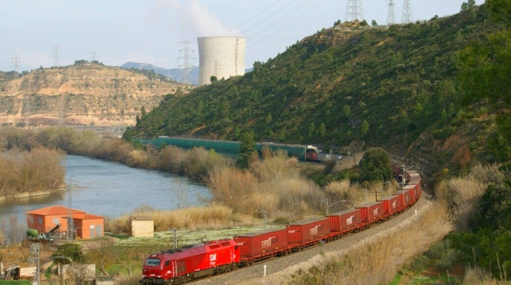 Després de que s'ens escapés el TECO Can Tunis -> Villafría i enxampar el Morrot -> La Negrilla, ens vam dirigir a aquest punt que semblava tenir millor llum per enxampar les següents circulacions, que en teoria devien de ser les de les privades, mes alguna de Renfe. Vam tenir que esperar una mica, però quan es va obrir l'aixeta, van passar un darrera de l'altre, excepte el Acotral. A la foto la 6004 de Takargo amb el TECO Constantí -> Entroncamento entre les estacions de Flix i Ascó, amb la xemeneia de la nuclear al fons. Agrair de nou a en Javier la jornada que vam passar. Después de que se nos escapara el TECO Can Tunis -> Villafría y pillar el Morrot -> La Negrilla, nos dirigimos a este punto que parecía tener mejor luz para pillar las siguientes circulaciones, que en teoría debían de ser las de las privadas, mas alguna de Renfe. Tuvimos que esperar un rato, pero en cuanto se abrió el grifo, pasaron una detrás de otra, excepto el Acotral. En la foto la 6004 de Takargo con el TECO Constantí -> Entroncamento entre las estaciones de Flix y Ascó, con la chimenea de la nuclear al fondo. Agradecer de nuevo a Javier la jornada que pasamos.