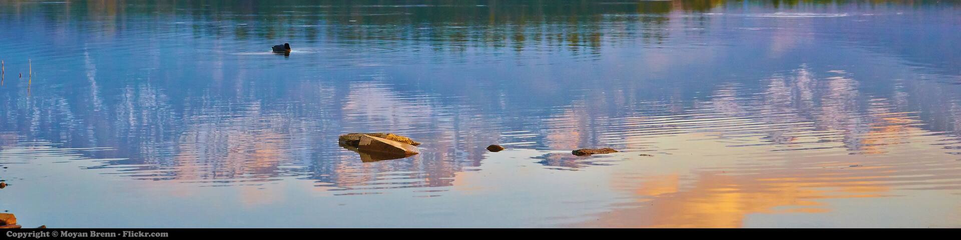 A view of alps of Austria from the Hopfensee lake Visit my travel blog earthincolors.wordpress.com to see my best pics and read my travel stories . **** COPYRIGHT AND CC INFORMATION **** If you like and want to use my photos you can do it for free BUT first you HAVE to read and respect my rules and policy reported in my profile page here www.flickr.com/people/aigle_dore/ Thanks